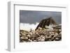 Baltic Sea, Hohwacht Bay, Hotel-Nora Frei-Framed Photographic Print