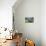 Baltic Sea, Kasmu, Laane-Virumaa, Estonia, Baltic States, Europe-Nico Tondini-Photographic Print displayed on a wall