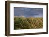 Baltic Sea Spa Wustrow, Beach, Dune-Catharina Lux-Framed Photographic Print