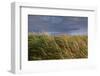 Baltic Sea Spa Wustrow, Beach, Dune-Catharina Lux-Framed Photographic Print