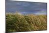 Baltic Sea Spa Wustrow, Beach, Dune-Catharina Lux-Mounted Photographic Print