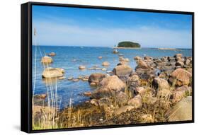 Baltic Sea, Vana-Juri Ots, Laane-Virumaa, Estonia, Baltic States, Europe-Nico Tondini-Framed Stretched Canvas