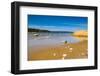 Baltic Sea, Vana-Juri Ots, Laane-Virumaa, Estonia, Baltic States, Europe-Nico Tondini-Framed Photographic Print