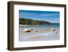 Baltic Sea, Vana-Juri Ots, Laane-Virumaa, Estonia, Baltic States, Europe-Nico Tondini-Framed Photographic Print