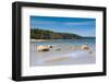 Baltic Sea, Vana-Juri Ots, Laane-Virumaa, Estonia, Baltic States, Europe-Nico Tondini-Framed Photographic Print