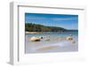 Baltic Sea, Vana-Juri Ots, Laane-Virumaa, Estonia, Baltic States, Europe-Nico Tondini-Framed Photographic Print