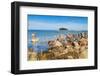 Baltic Sea, Vana-Juri Ots, Laane-Virumaa, Estonia, Baltic States, Europe-Nico Tondini-Framed Photographic Print