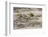 Baltic Sea, Winter-Catharina Lux-Framed Photographic Print