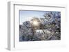 Baltic Sea, Winter-Catharina Lux-Framed Photographic Print