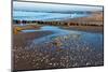 Baltic Sea, Winter-Catharina Lux-Mounted Photographic Print