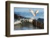 Baltic Sea-Catharina Lux-Framed Photographic Print