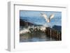 Baltic Sea-Catharina Lux-Framed Photographic Print