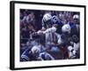 Baltimore Colts Football Player Dennis Gaubatz in Action-Art Rickerby-Framed Premium Photographic Print