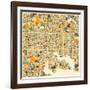 Baltimore Map-Jazzberry Blue-Framed Art Print