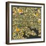 Baltimore Map-Jazzberry Blue-Framed Art Print