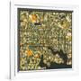 Baltimore Map-Jazzberry Blue-Framed Art Print