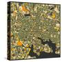 Baltimore Map-Jazzberry Blue-Stretched Canvas