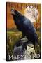 Baltimore, Maryland - Raven and Skull-Lantern Press-Stretched Canvas