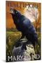 Baltimore, Maryland - Raven and Skull-Lantern Press-Mounted Art Print