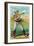Baltimore, MD, Baltimore Orioles, Oyster Burns, Baseball Card-Lantern Press-Framed Art Print