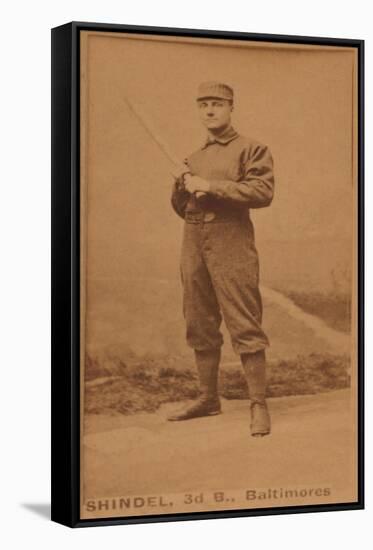 Baltimore, MD, Baltimore Orioles, Shindel, Baseball Card-Lantern Press-Framed Stretched Canvas