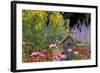 Baltimore Oriole on Birdhouse in Garden, Marion, Illinois, Usa-Richard ans Susan Day-Framed Photographic Print