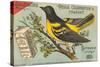 Baltimore Oriole Pageant-null-Stretched Canvas