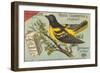 Baltimore Oriole Pageant-null-Framed Premium Giclee Print