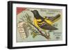 Baltimore Oriole Pageant-null-Framed Premium Giclee Print