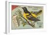 Baltimore Oriole Pageant-null-Framed Premium Giclee Print