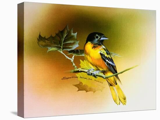 Baltimore Oriole-Spencer Williams-Stretched Canvas