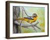 Baltimore Oriole-Angeles M Pomata-Framed Giclee Print