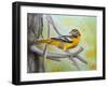 Baltimore Oriole-Angeles M Pomata-Framed Giclee Print