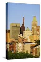 Baltimore skyline, Maryland-null-Stretched Canvas