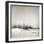 Baltrum Beach, no. 11-Katrin Adam-Framed Photographic Print