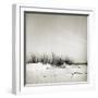 Baltrum Beach, no. 11-Katrin Adam-Framed Photographic Print