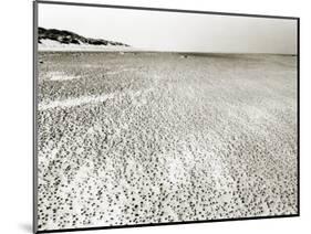 Baltrum Beach, no. 6-Katrin Adam-Mounted Photographic Print