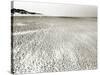 Baltrum Beach, no. 6-Katrin Adam-Stretched Canvas