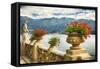 Balustrade With Lake View, Como, Italy-George Oze-Framed Stretched Canvas