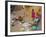 Bambara Women in the Market, Segoukoro, Segou, Mali, Africa-Bruno Morandi-Framed Photographic Print