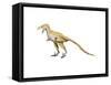 Bambiraptor Dinosaur-null-Framed Stretched Canvas