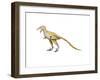 Bambiraptor Dinosaur-null-Framed Art Print