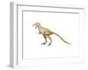 Bambiraptor Dinosaur-null-Framed Art Print