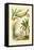 Bamboo, 1833-39-null-Framed Stretched Canvas