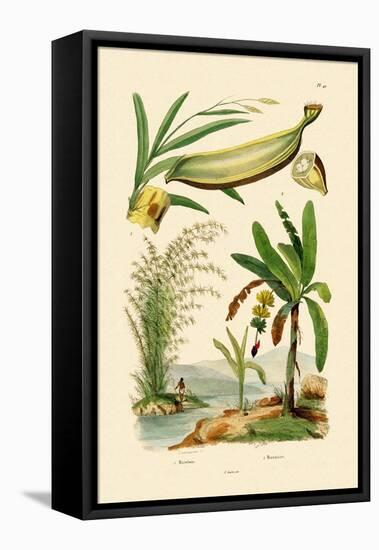 Bamboo, 1833-39-null-Framed Stretched Canvas