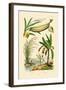 Bamboo, 1833-39-null-Framed Giclee Print