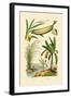 Bamboo, 1833-39-null-Framed Giclee Print