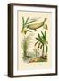 Bamboo, 1833-39-null-Framed Giclee Print