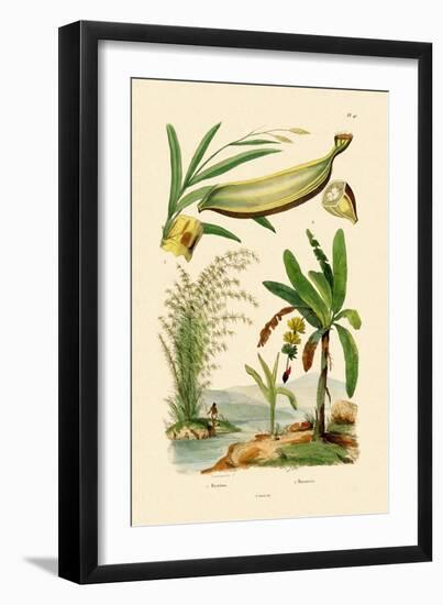 Bamboo, 1833-39-null-Framed Giclee Print