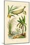 Bamboo, 1833-39-null-Mounted Giclee Print